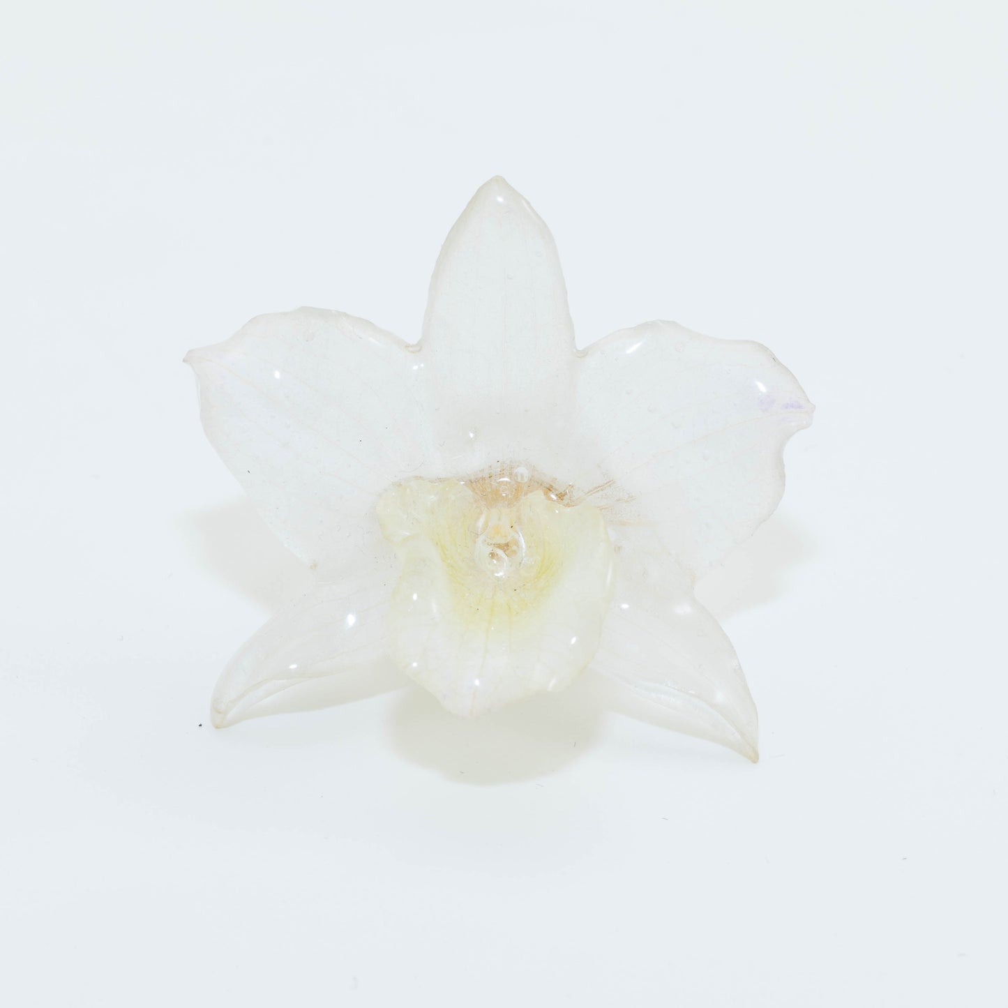 DENDROBIUM RING