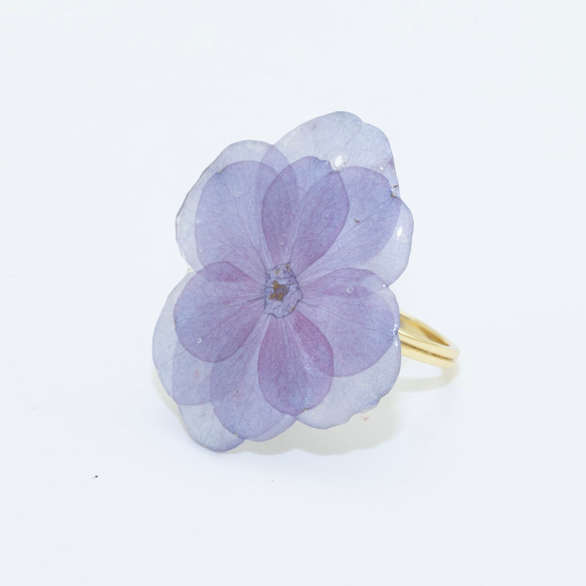 HYDRANGEA