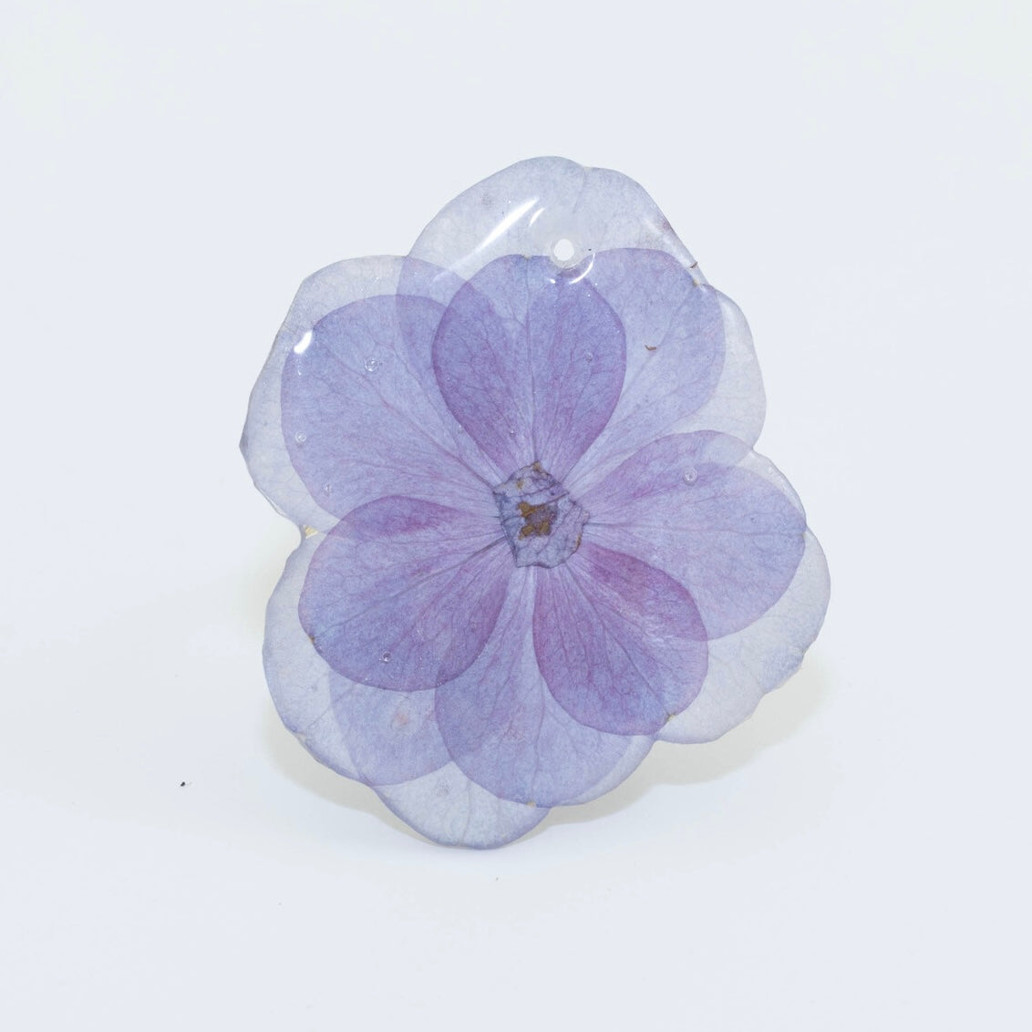 HYDRANGEA