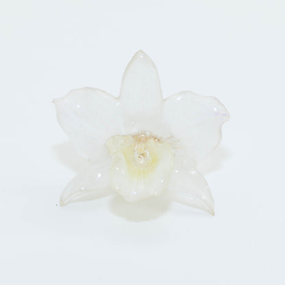 DENDROBIUM RING