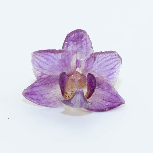 MINI ORCHID