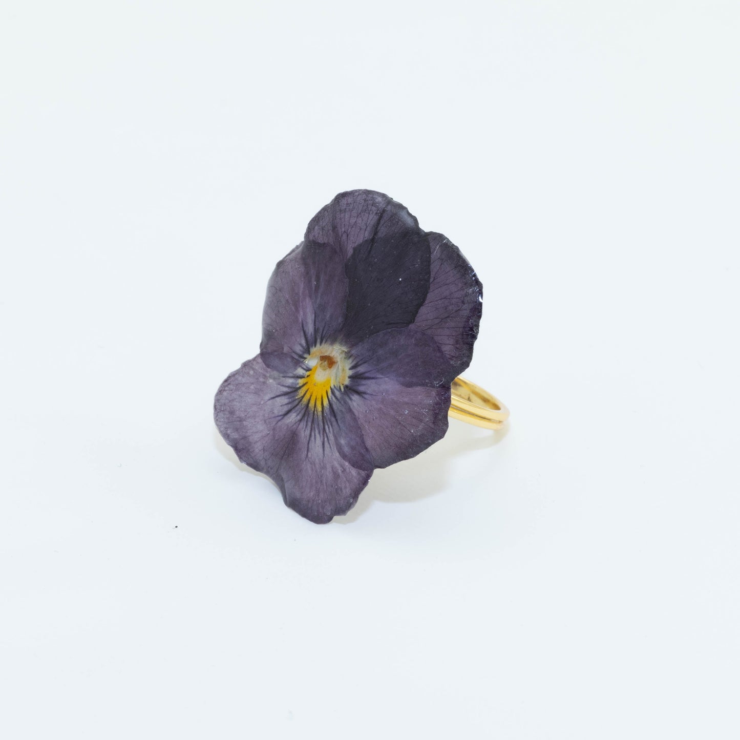 VIOLA CORNUTA