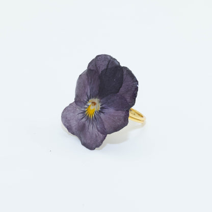 VIOLA CORNUTA
