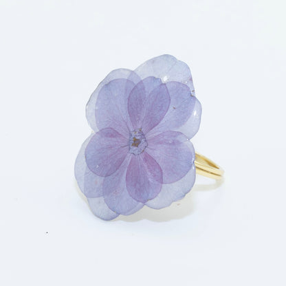 HYDRANGEA