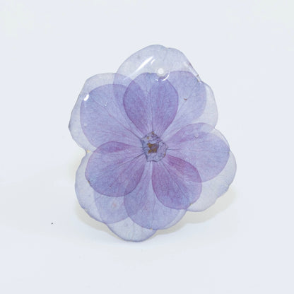 HYDRANGEA
