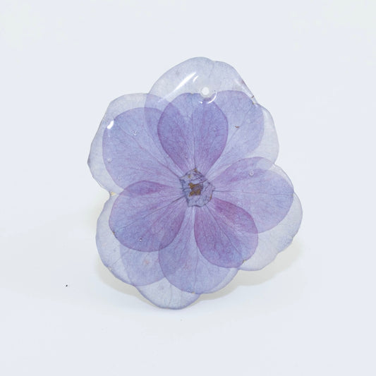 HYDRANGEA