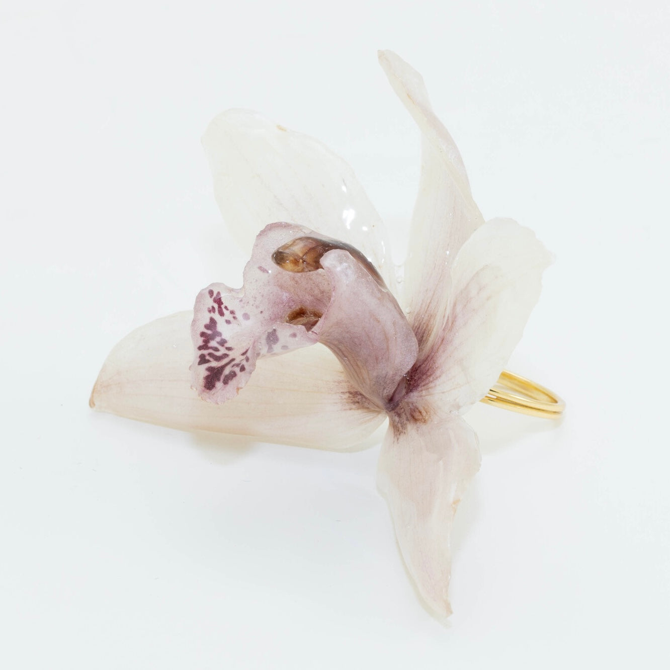 CYMBIDIUM PINK