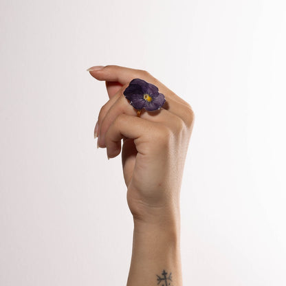 VIOLA CORNUTA