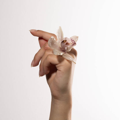 CYMBIDIUM PINK