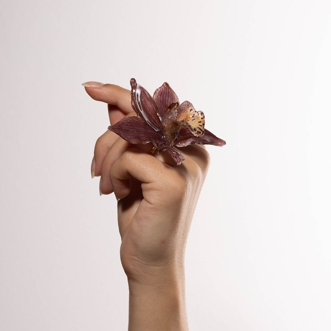 CYMBIDIUM
